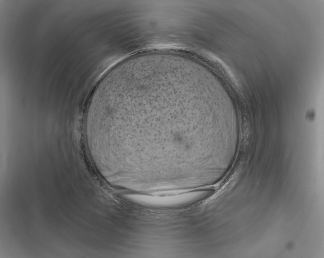 X0000116281361201001111026