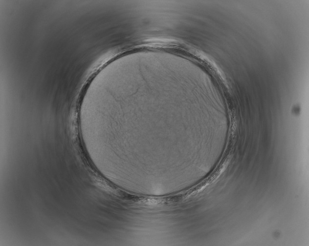 X0000116281362201001111026