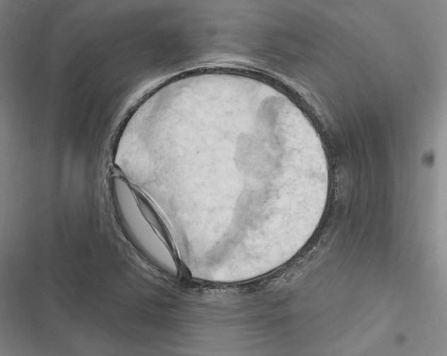 X0000116281363201001111026
