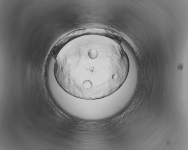 X0000116281364201001111026