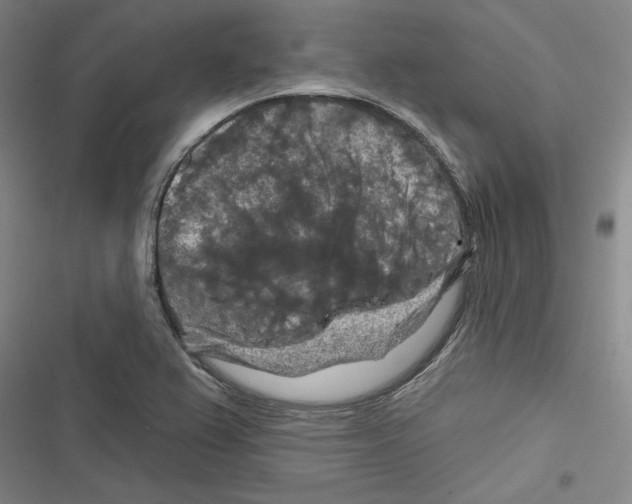 X0000116281367201001111026