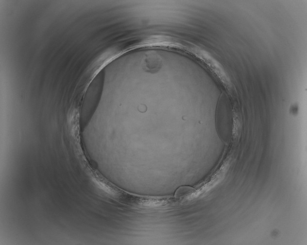 X0000116281369201001111026