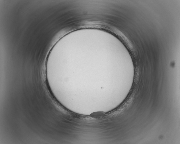 X0000116281370201001111026