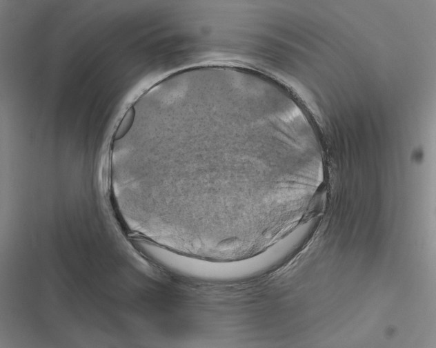 X0000116281371201001111026