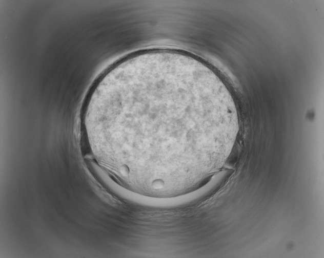 X0000116281372201001111026