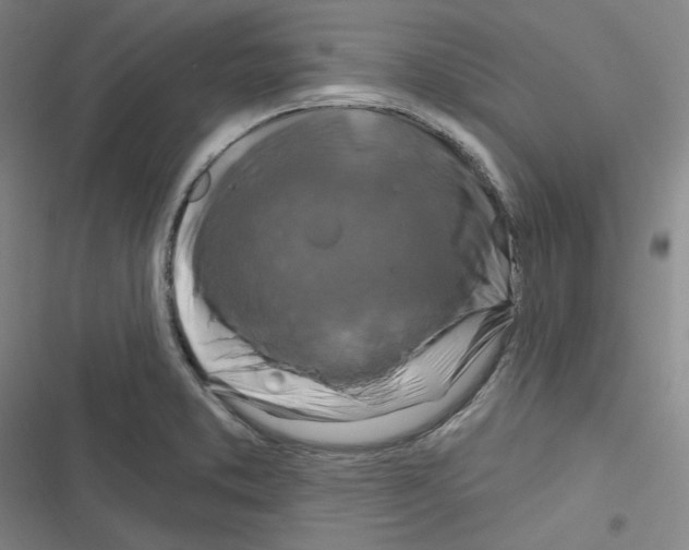 X0000116281373201001111026