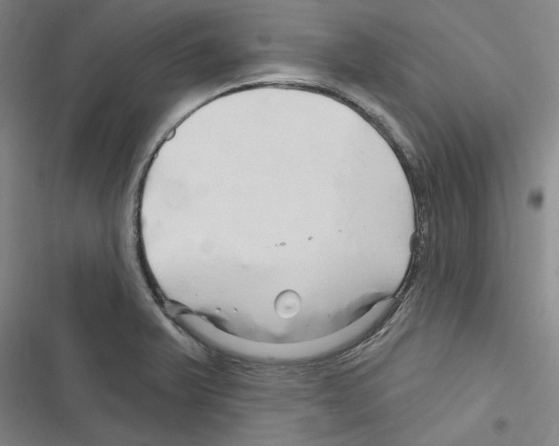 X0000116281375201001111026