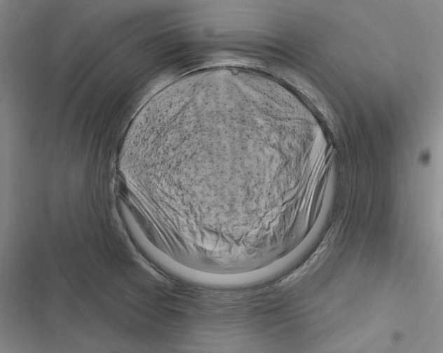 X0000116281377201001111026