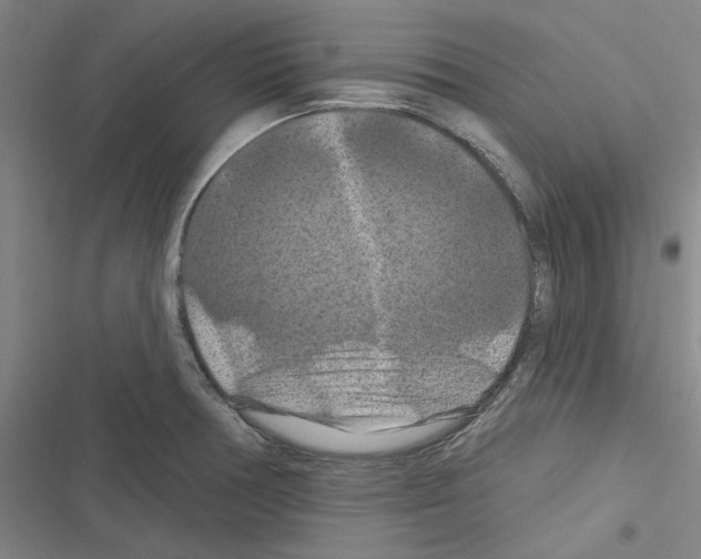 X0000116281378201001111026