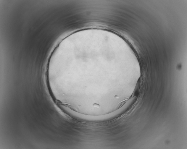 X0000116281379201001111026
