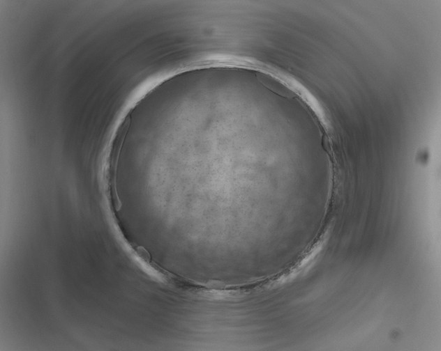 X0000116281381201001111026