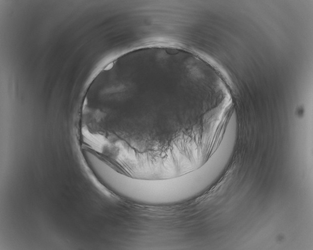 X0000116281383201001111026