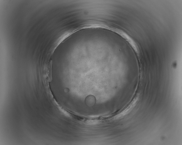 X0000116281385201001111026