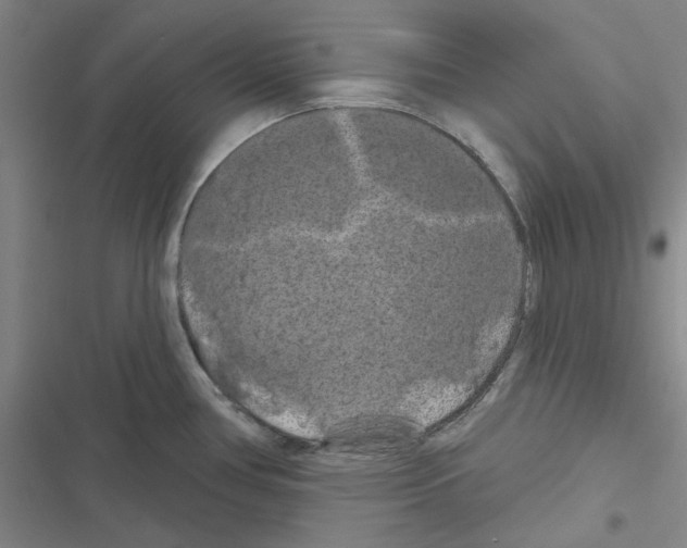 X0000116281386201001111026