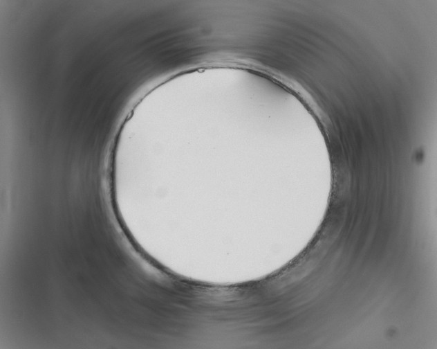 X0000116281387201001111026