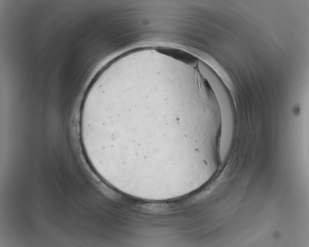 X0000116281388201001111026