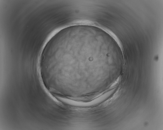 X0000116281389201001111026