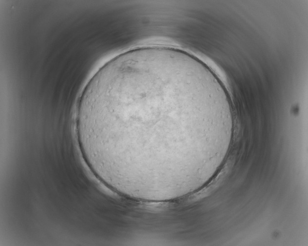 X0000116281390201001111026