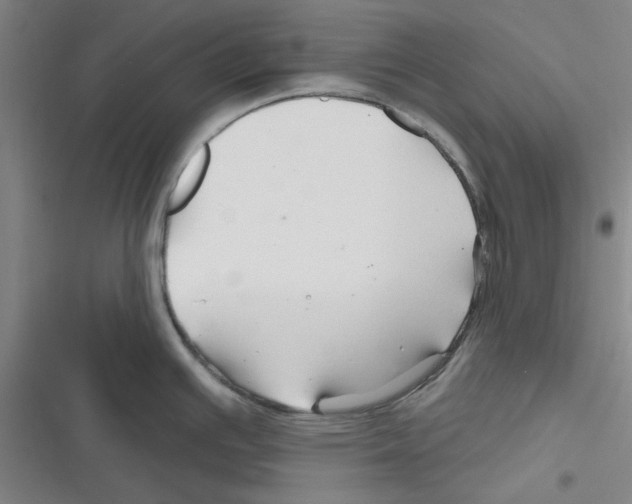 X0000116281391201001111026