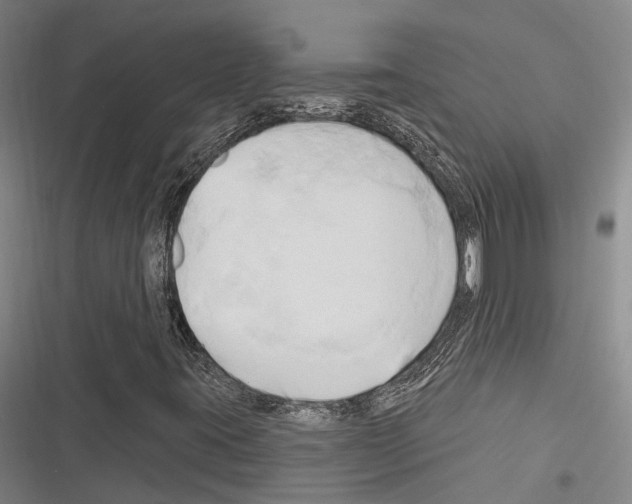 X0000116281395201001111025