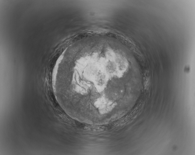 X0000116281397201001111025