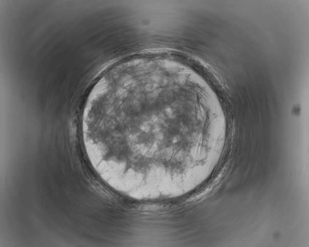 X0000116281401201001111025