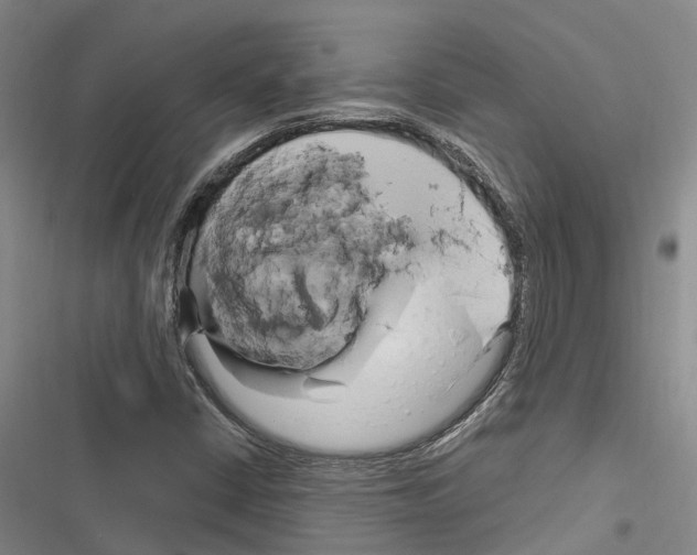 X0000116281402201001111025