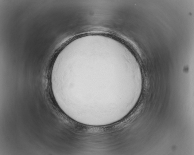 X0000116281407201001111026