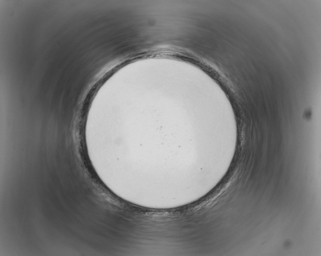 X0000116281410201001111026