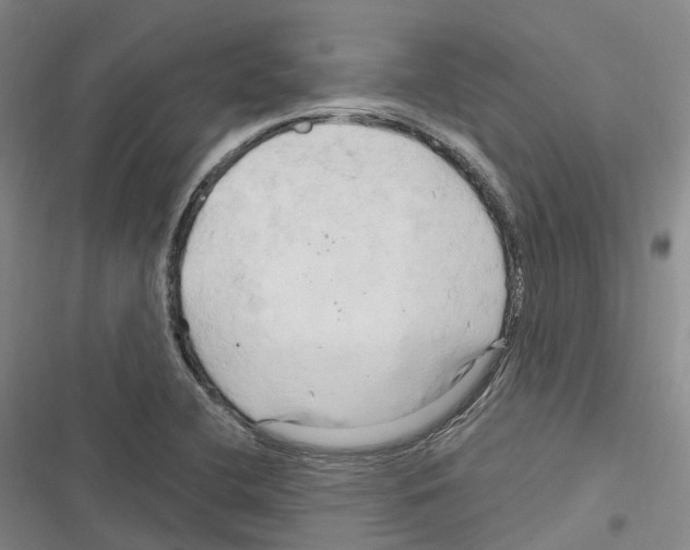 X0000116281412201001111026