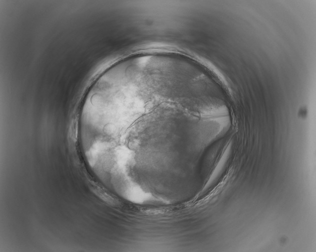 X0000116281413201001111026