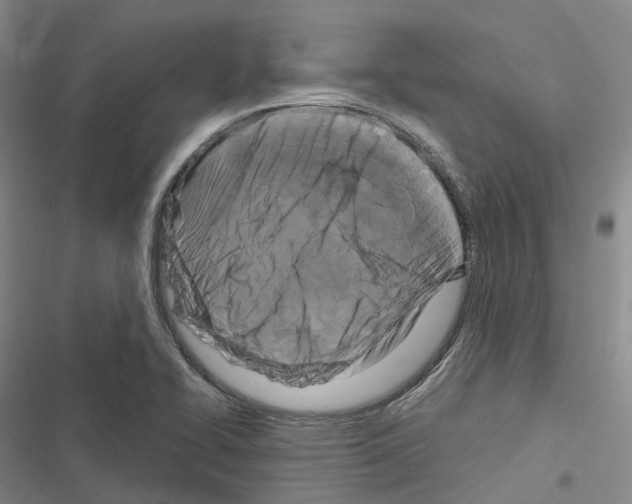 X0000116281414201001111026