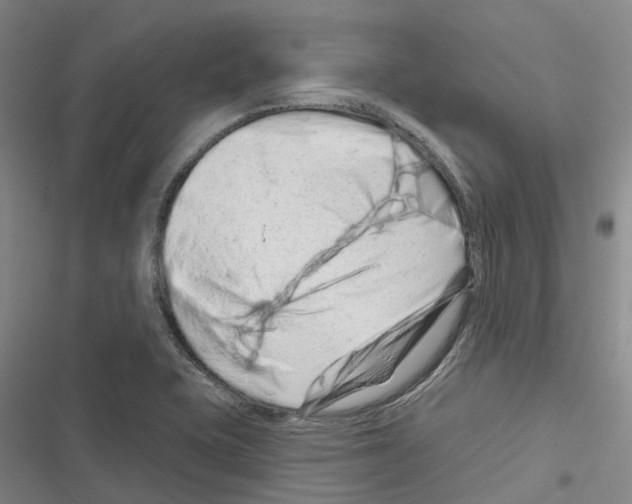 X0000116281415201001111026
