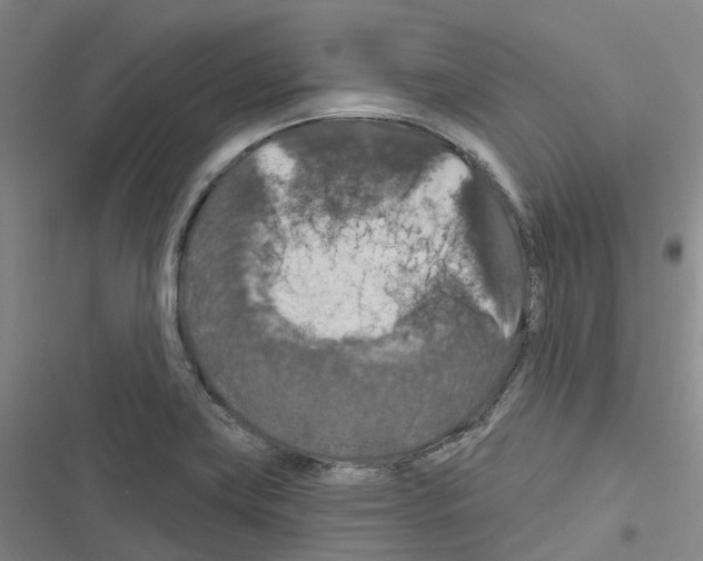 X0000116281419201001111026