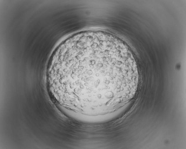 X0000116281420201001111026