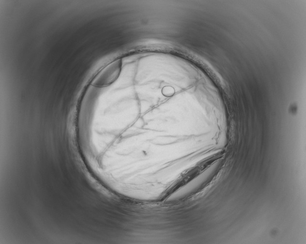 X0000116281421201001111026