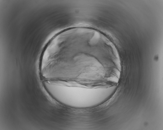 X0000116281422201001111026