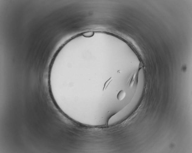 X0000116281424201001111026