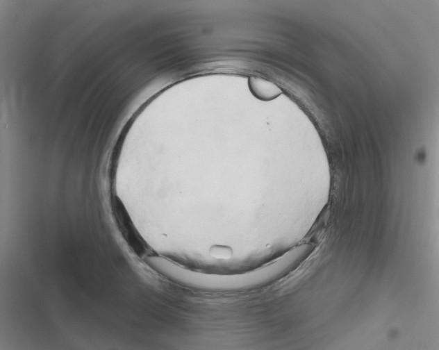 X0000116281426201001111026