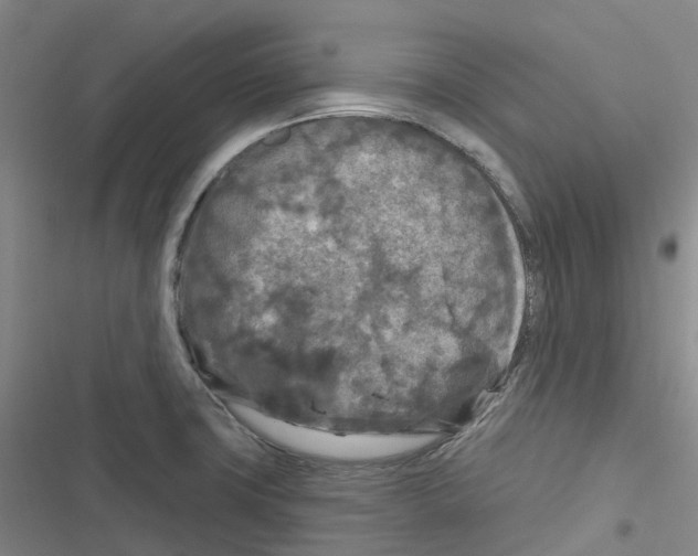 X0000116281427201001111026