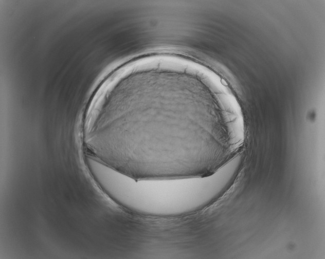 X0000116281428201001111026