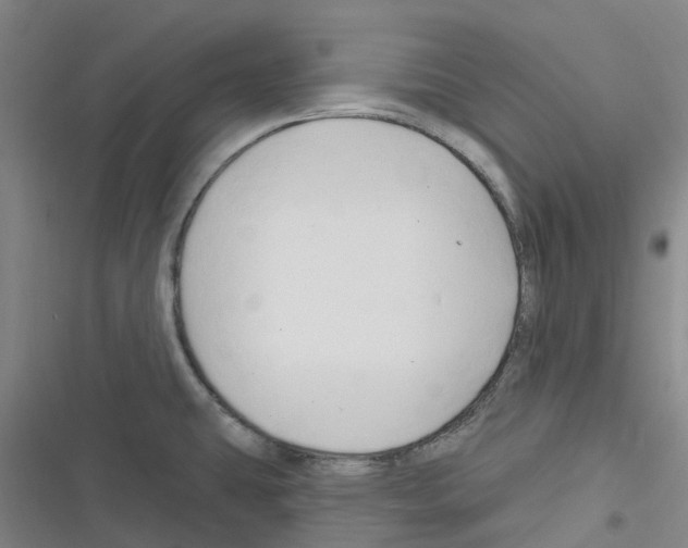 X0000116281431201001111026