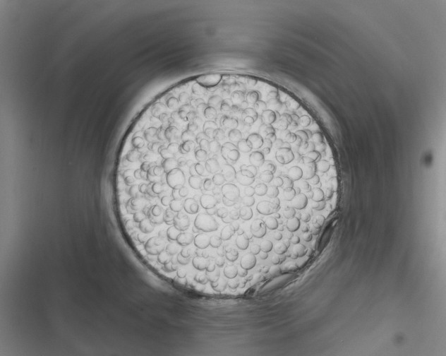 X0000116281432201001111026