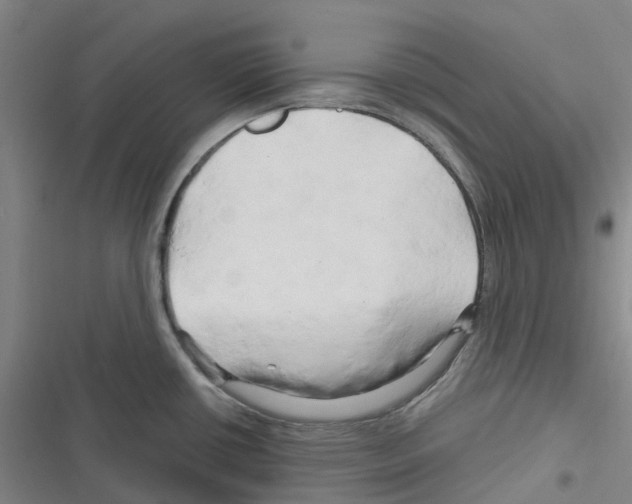 X0000116281434201001111026