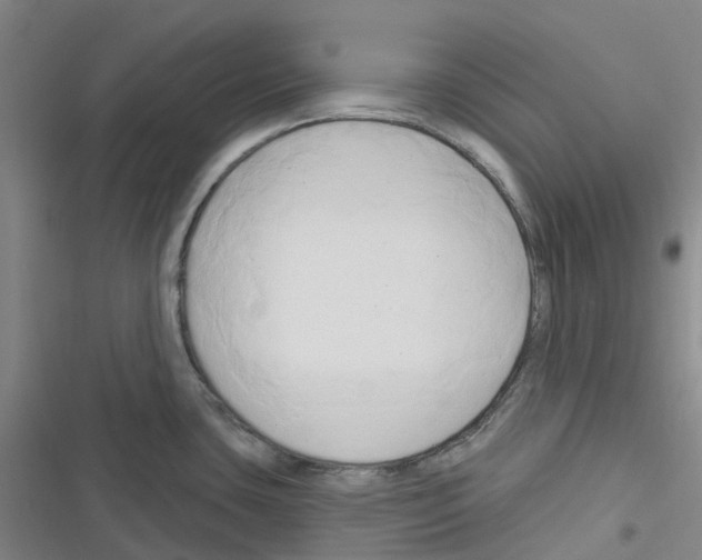 X0000116281435201001111026