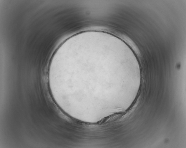 X0000116281436201001111026