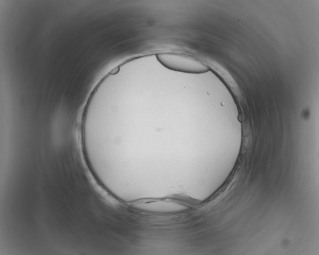 X0000116281439201001111026