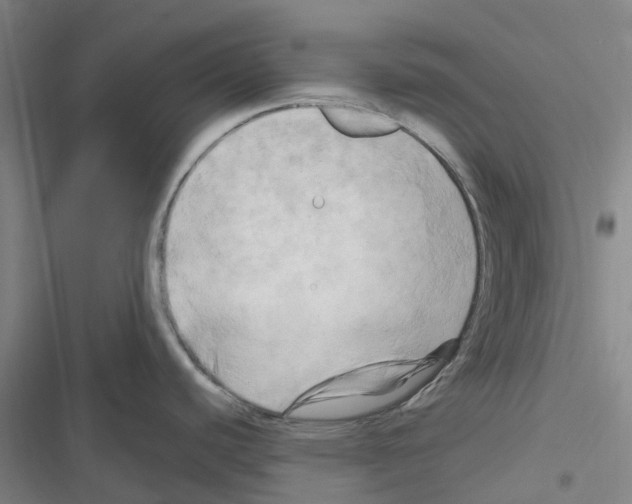 X0000116281440201001111026