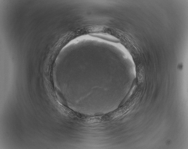 X0000116281441201001111025