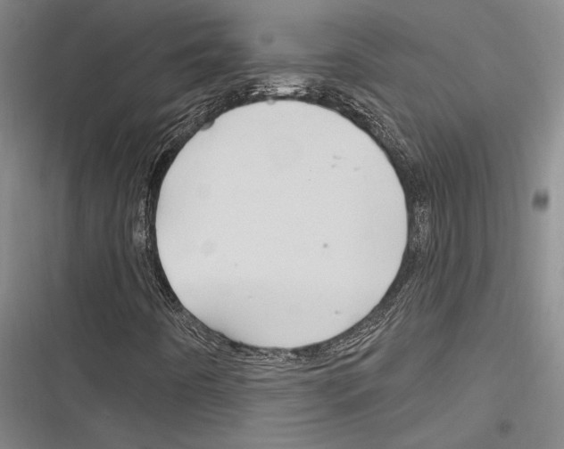 X0000116281442201001111025